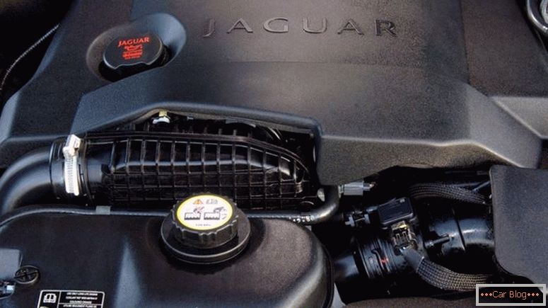 zdjęcia typu jaguar