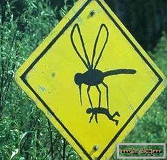 Dziwny znak ruchu komara