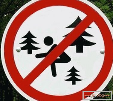 Znak zakazujący iść do toalety w lesie