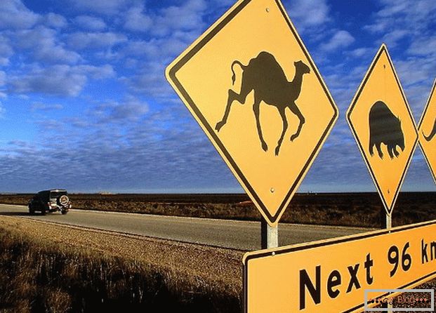 Australijski znak drogowy ostrzega, że ​​różne zwierzęta mogą biec na drogę.