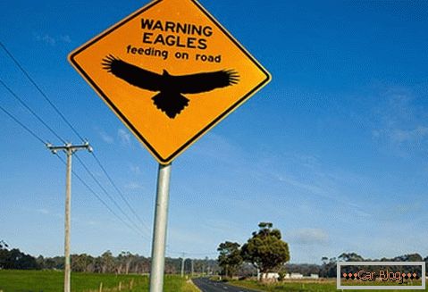 Ostrzeżenie przed możliwością napotkania orłów na drodze